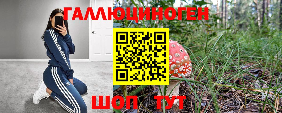 Псилоцибиновые грибы прущие грибы  Псилоцибиновые грибы мухоморы  Лесозаводск  Вход с VPN 